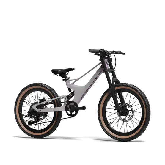 22 inch single-speed magnesium alloy soft tail bicycle for students to ride outdoor mountain bikes for children