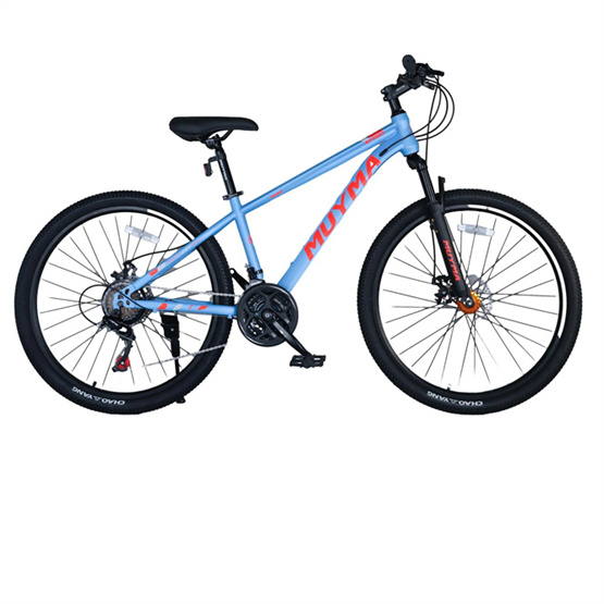 Best-selling high-carbon steel frame shock-absorbing front fork bearing seal axle 24 inch mountain bike
