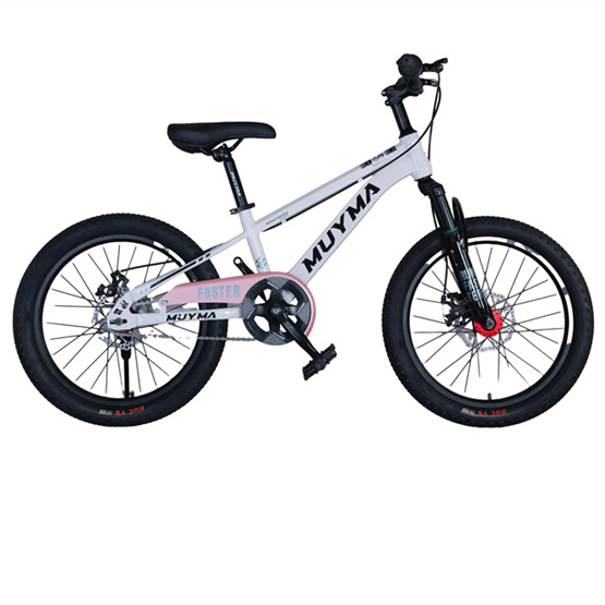 Price discount High carbon steel disc brake frame high grade paint inside decals small Yan handlebars mountain bike