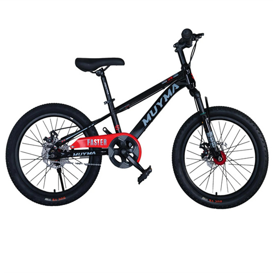 Price discount High carbon steel disc brake frame high grade paint inside decals small Yan handlebars mountain bike