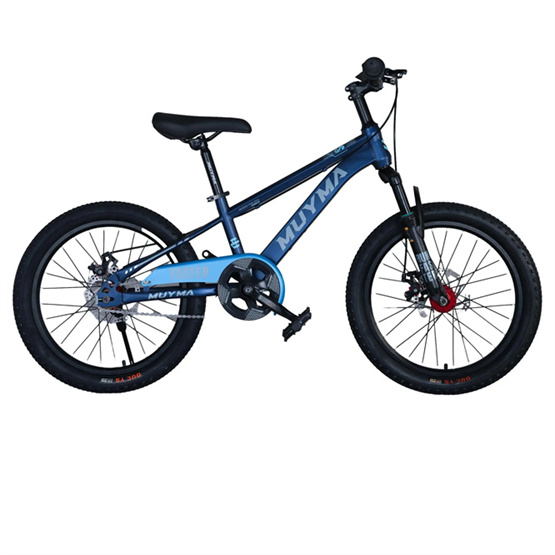 Price discount High carbon steel disc brake frame high grade paint inside decals small Yan handlebars mountain bike